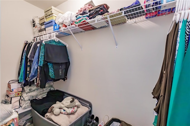 view of spacious closet