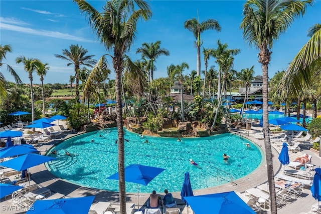 view of swimming pool featuring a patio area