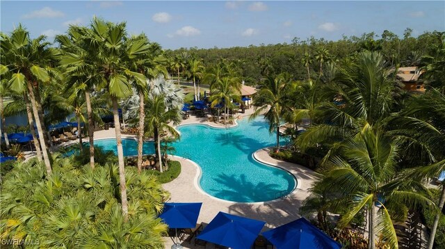 view of swimming pool featuring a patio area