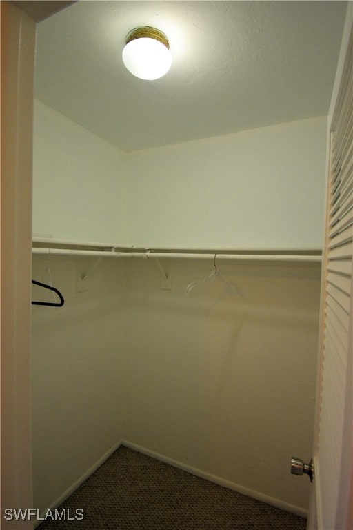 spacious closet with carpet flooring