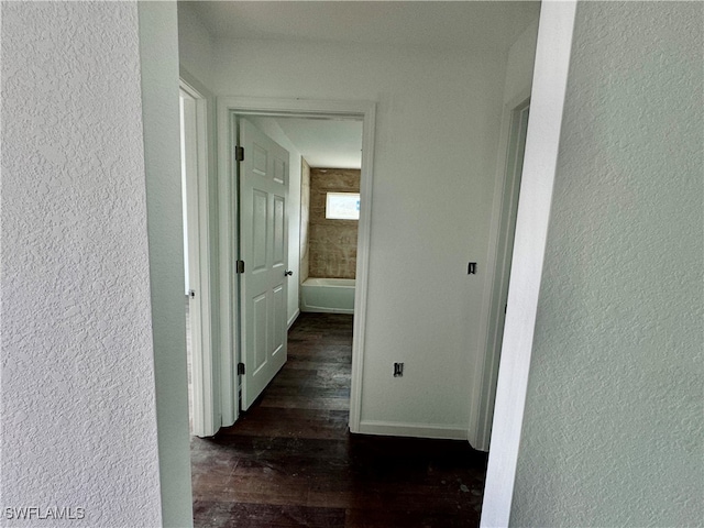 hallway featuring dark hardwood / wood-style floors