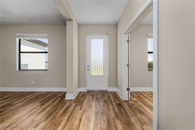 entrance foyer with dark wood-type flooring and a wealth of natural light