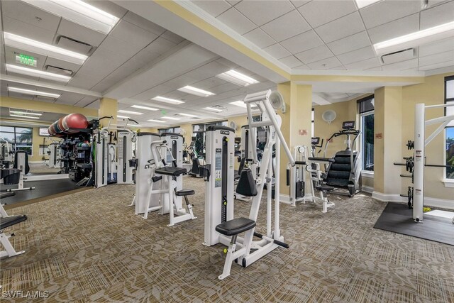 workout area with carpet flooring and a paneled ceiling