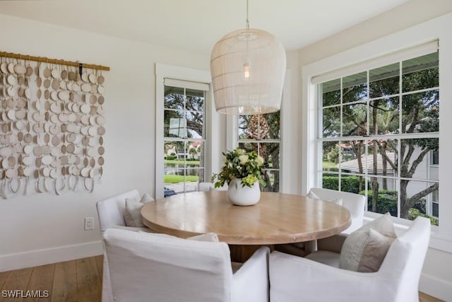 dining area featuring baseboards, a healthy amount of sunlight, and wood finished floors