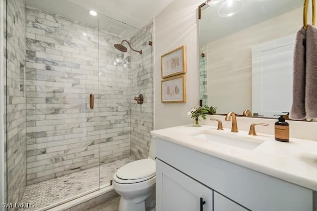 bathroom with vanity, toilet, and a shower stall