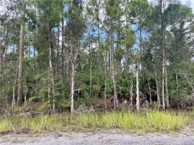 302 Rosanna Ave, Lehigh Acres FL, 33972 land for sale