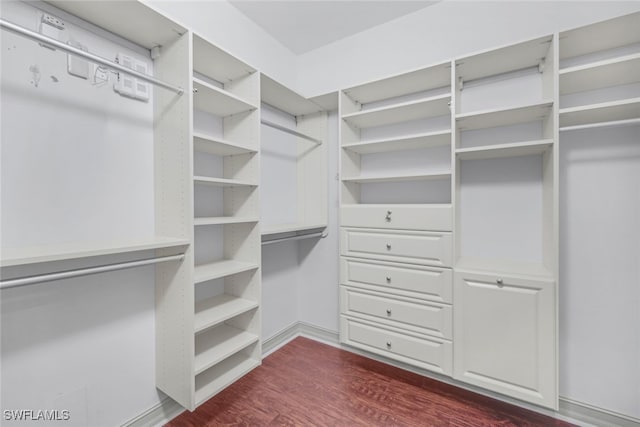 spacious closet with dark hardwood / wood-style floors