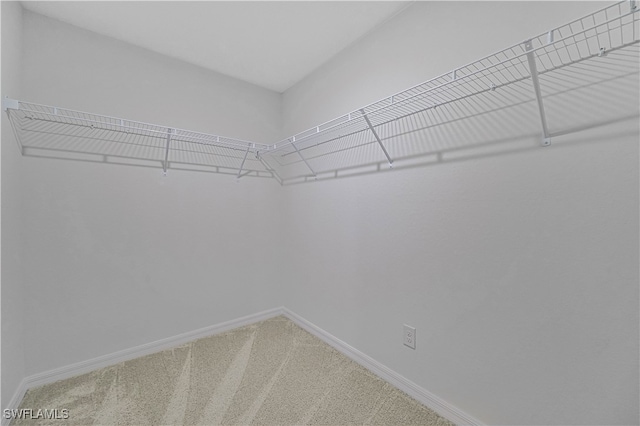 walk in closet with carpet