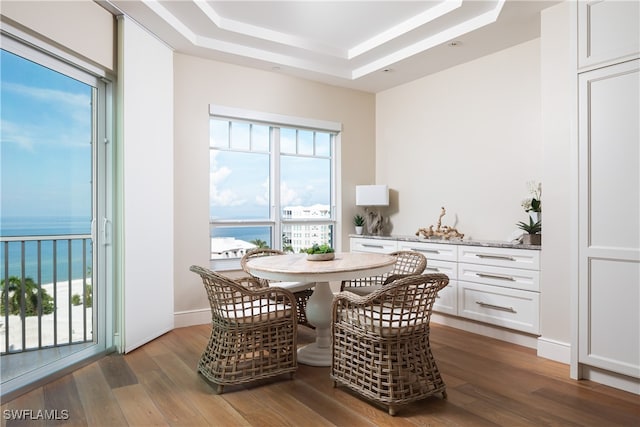 dining area featuring a tray ceiling, a water view, and hardwood / wood-style floors