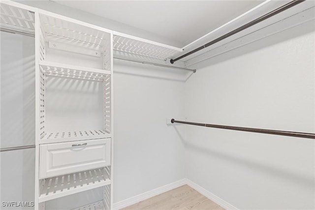 spacious closet featuring light hardwood / wood-style flooring