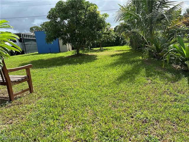 view of yard featuring an outbuilding