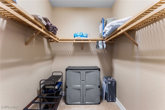 spacious closet featuring carpet flooring