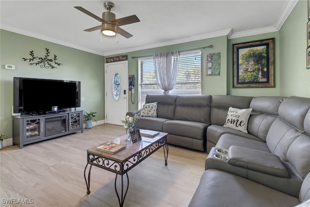 living room featuring light hardwood / wood-style floors, ceiling fan, and crown molding