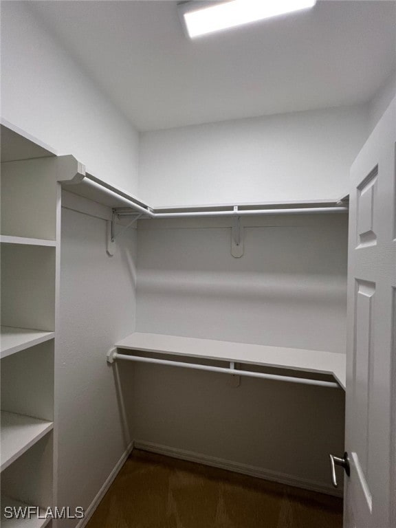 view of walk in closet