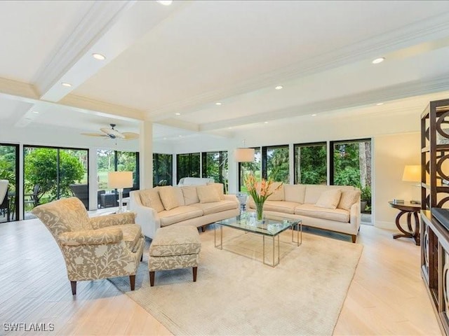 living room featuring beamed ceiling, a healthy amount of sunlight, and light hardwood / wood-style floors