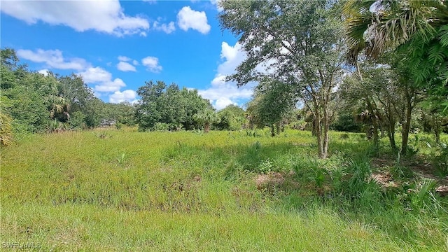 1238 Anvil Way, Moore Haven FL, 33471 land for sale