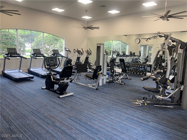 workout area with a healthy amount of sunlight and ceiling fan