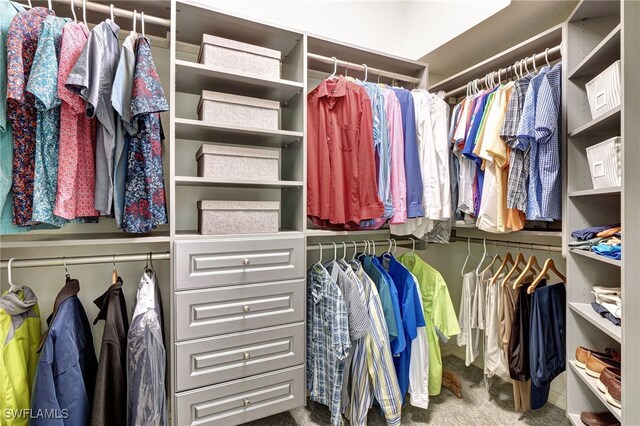 spacious closet with carpet flooring