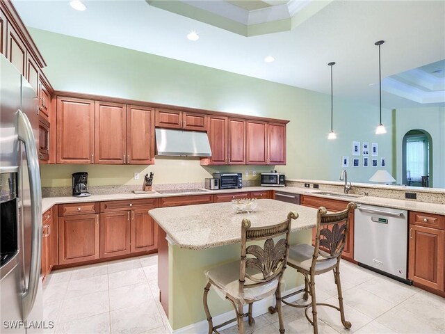 kitchen featuring sink, hanging light fixtures, a tray ceiling, a kitchen breakfast bar, and stainless steel appliances