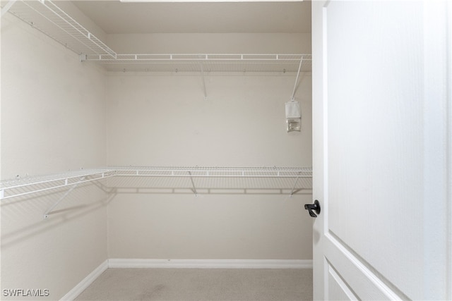 spacious closet with carpet flooring