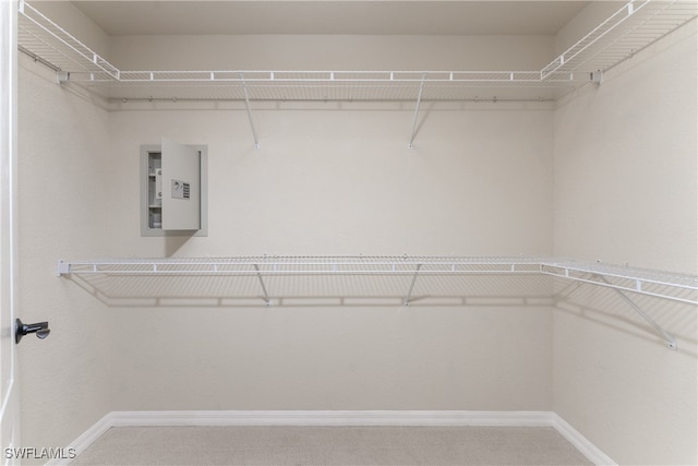 spacious closet with electric panel and carpet flooring