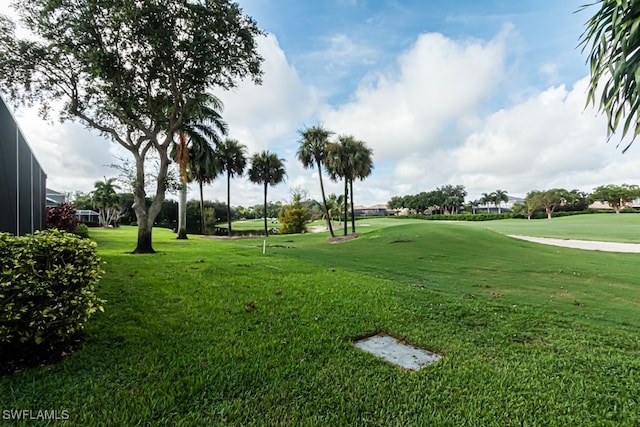 view of community with a yard