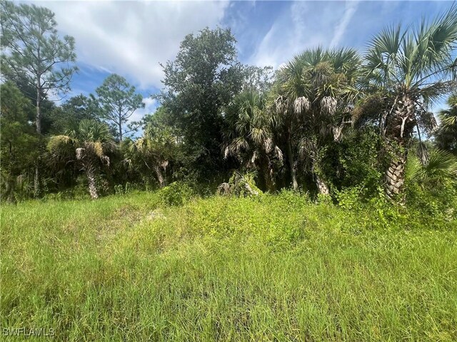 441Admiral Street, Port Charlotte FL, 33954 land for sale