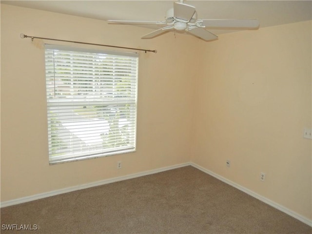 carpeted spare room with ceiling fan and a wealth of natural light