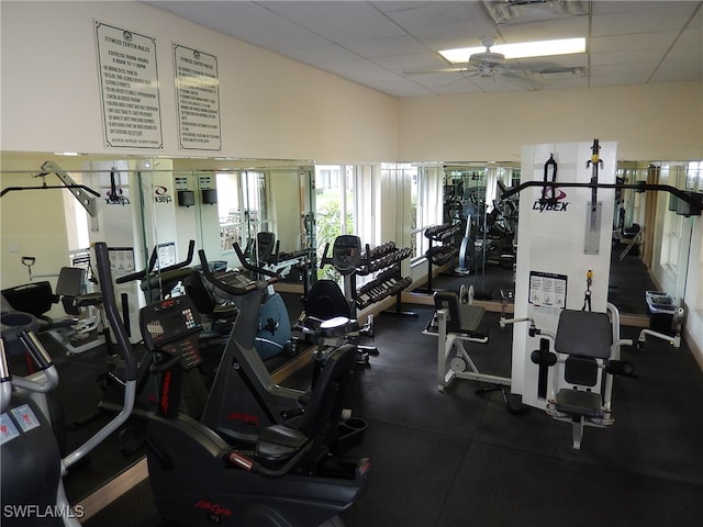 gym featuring ceiling fan and a paneled ceiling