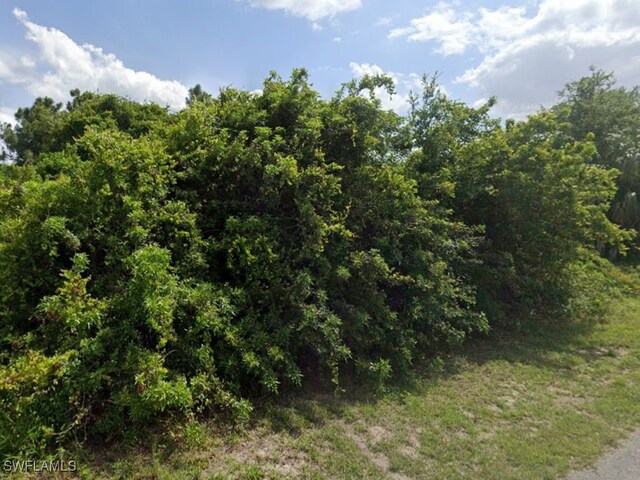 748 Long Distance Ln, Lehigh Acres FL, 33974 land for sale