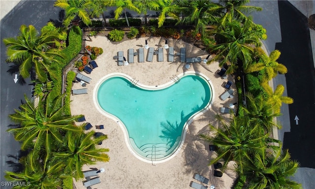 view of pool with a patio area