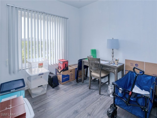 office featuring wood-type flooring