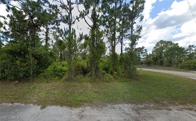 1048 Norton Ave S, Lehigh Acres FL, 33974 land for sale