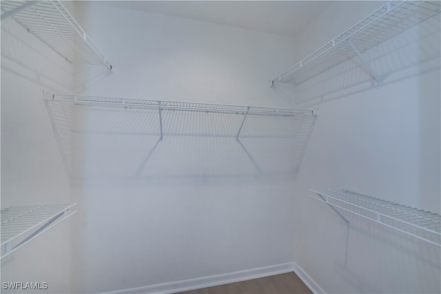 spacious closet featuring dark wood-style flooring