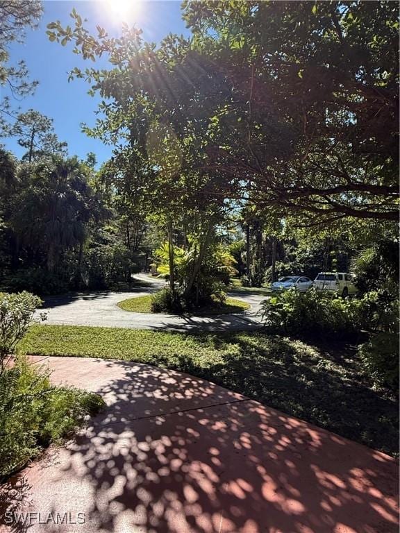 view of property's community featuring a yard