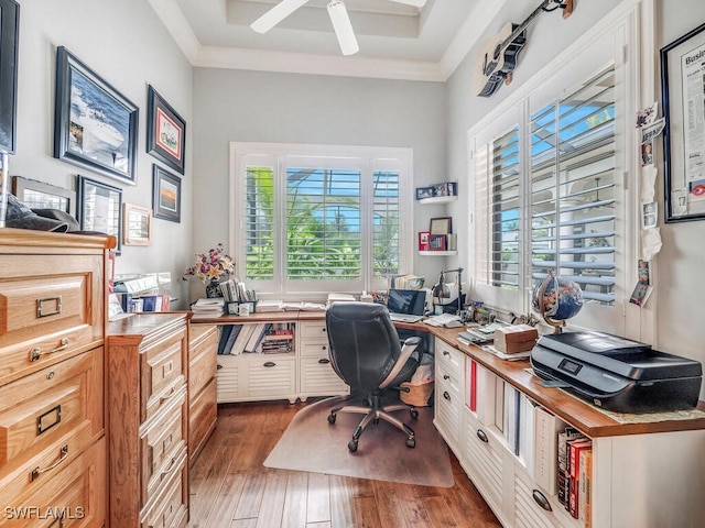 office featuring ceiling fan, a raised ceiling, and dark hardwood / wood-style floors