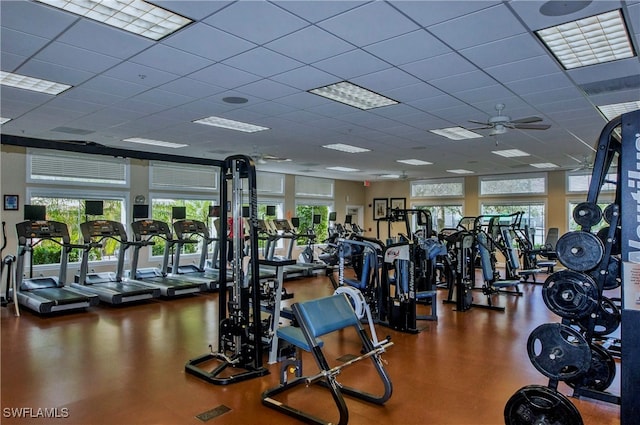 workout area with a paneled ceiling and ceiling fan