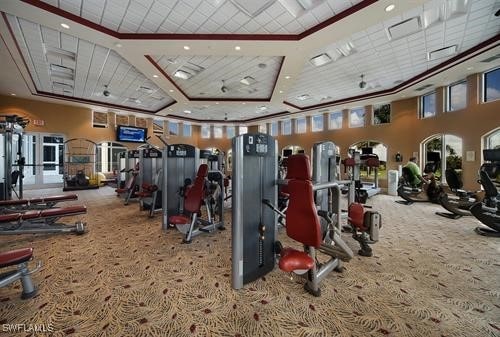 workout area featuring crown molding, a healthy amount of sunlight, a towering ceiling, and carpet floors