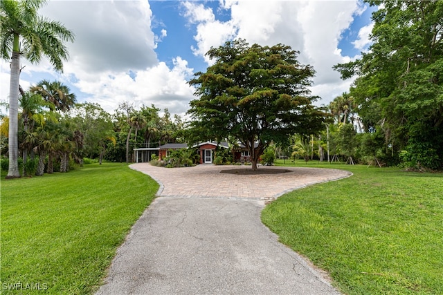 view of property's community featuring a yard