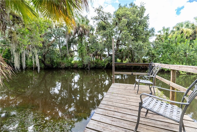 dock area with a water view