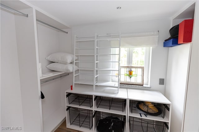 walk in closet featuring wood-type flooring