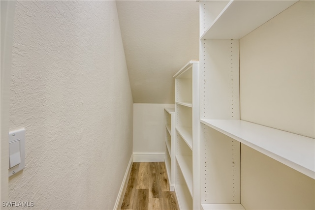 spacious closet with light wood-type flooring