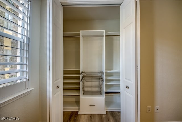 view of closet