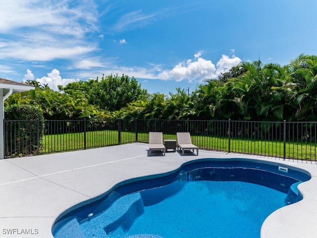 view of pool featuring a patio area and a lawn