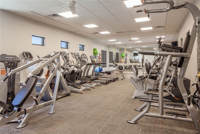 workout area with a drop ceiling and carpet flooring