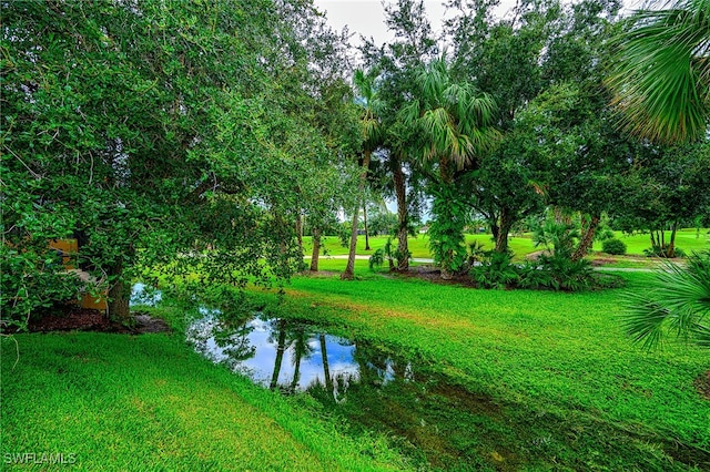 exterior space featuring a water view and a yard