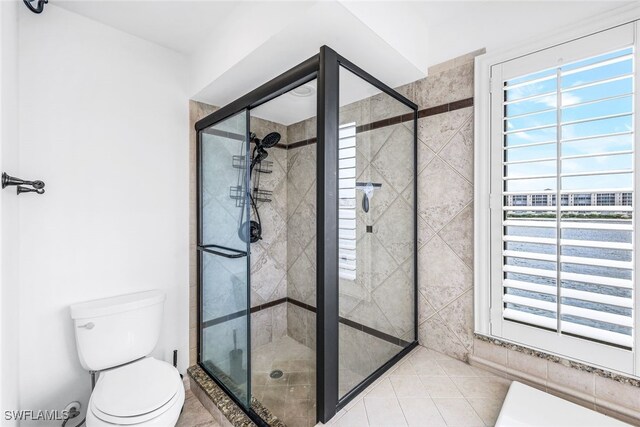 bathroom with tile patterned flooring, a wealth of natural light, toilet, and walk in shower