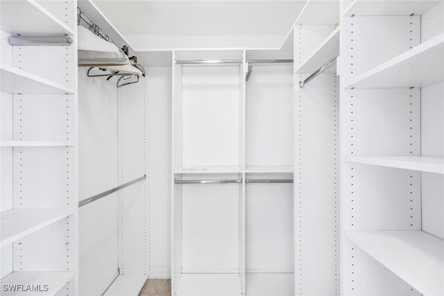 view of walk in closet