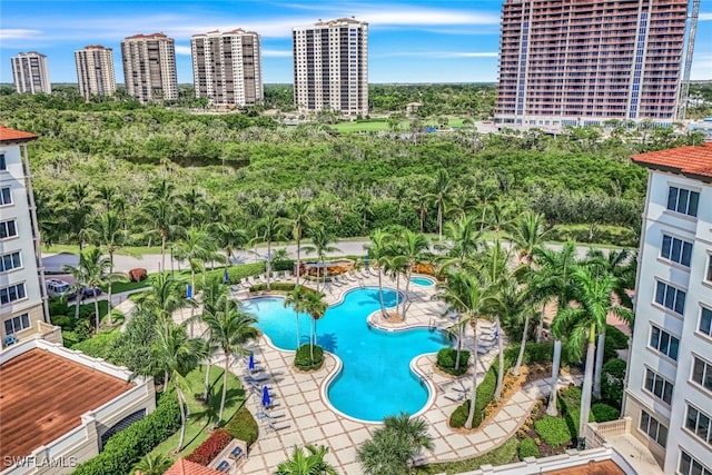 view of pool featuring a patio