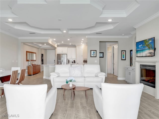 living room featuring crown molding, light wood-type flooring, and a raised ceiling